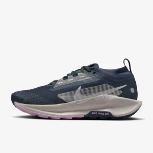 Nike Pegasus Trail 5 GORE-TEX (W)
