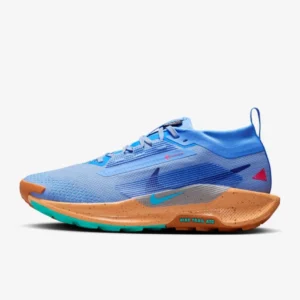 Nike Pegasus Trail 5 GORE-TEX